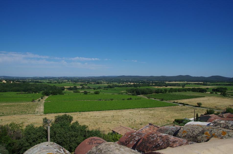 Gites La Tour Le Mas De Crieulon Saint-Jean-de-Crieulon Exteriér fotografie